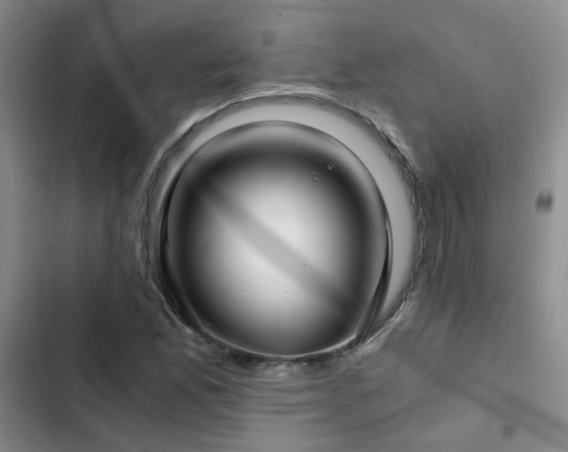 X0000103221165200808281400