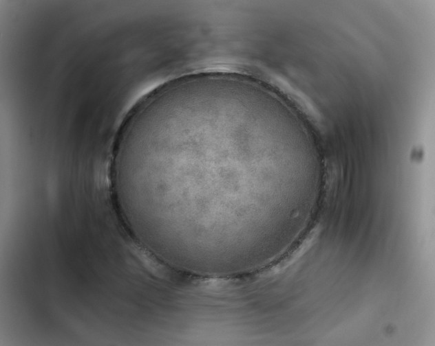 X0000103221166200808281400