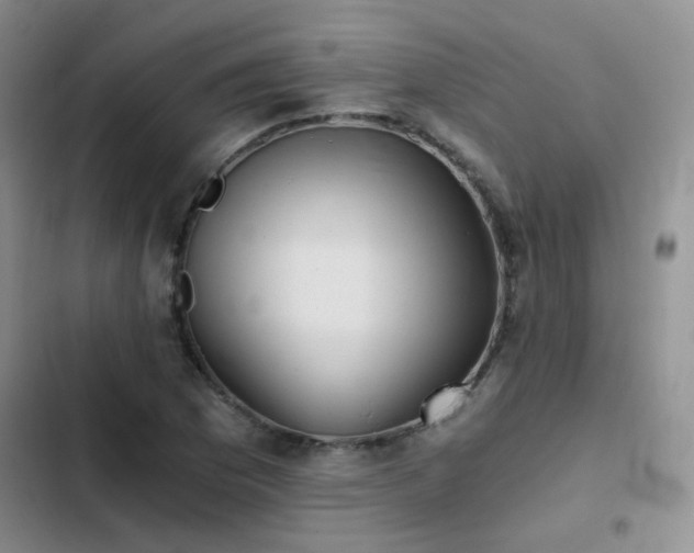 X0000103221169200808281400