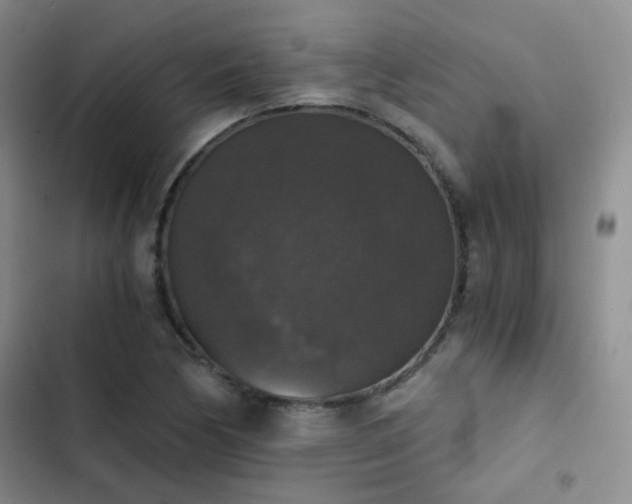 X0000103221170200808281400