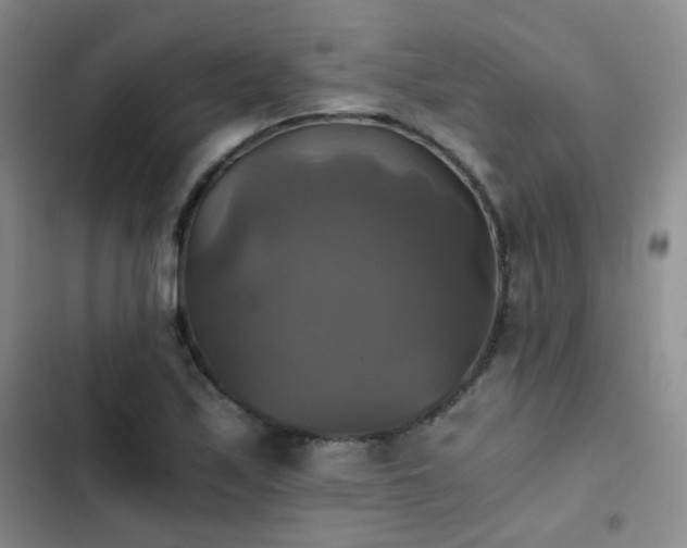 X0000103221171200808281400