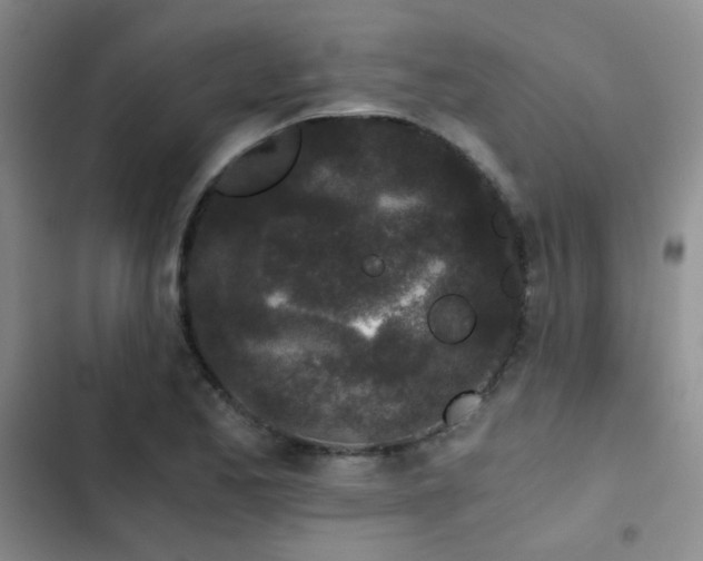 X0000103221173200808281400