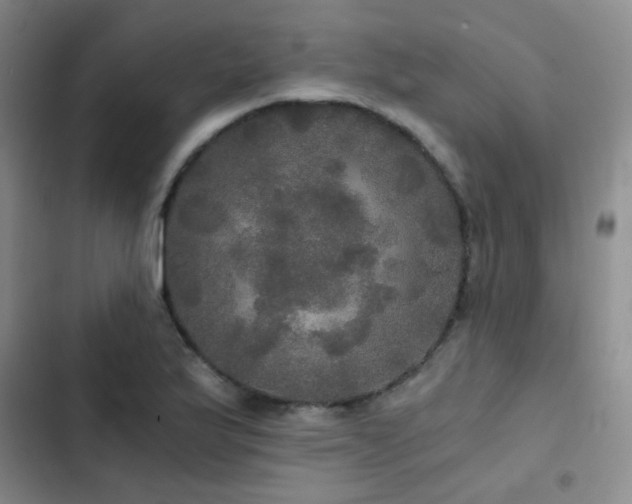 X0000103221175200808281400
