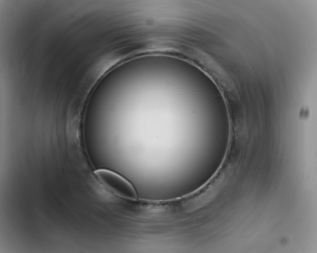 X0000103221177200808281400