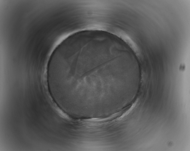 X0000103221184200808281400