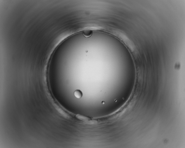 X0000103221186200808281400
