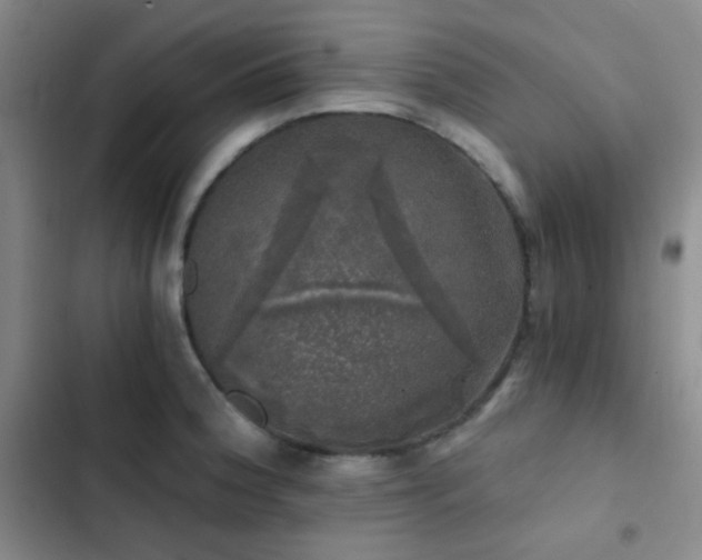 X0000103221188200808281400