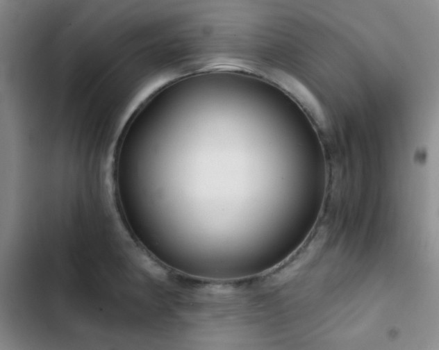 X0000103221190200808281400