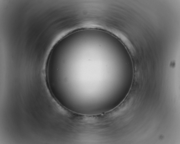 X0000103221191200808281400