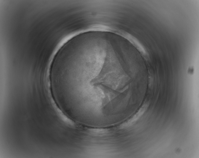 X0000103221192200808281400