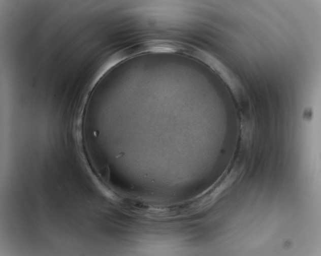 X0000103221194200808281400