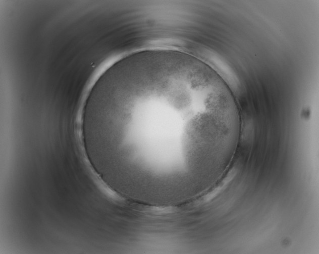X0000103221196200808281400