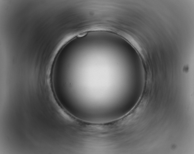 X0000103221197200808281400