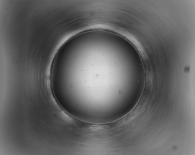 X0000103221199200808281400