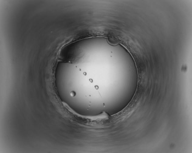 X0000103221201200808281359