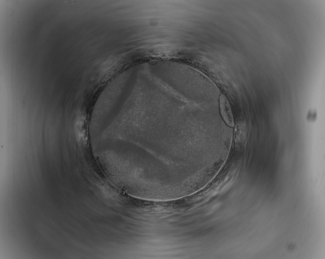 X0000103221202200808281359