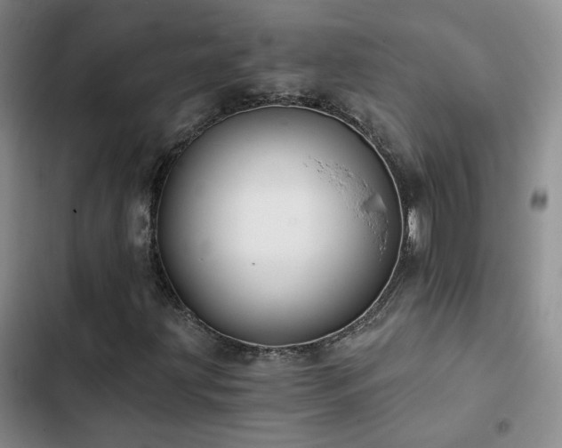 X0000103221203200808281359