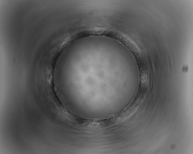 X0000103221204200808281359