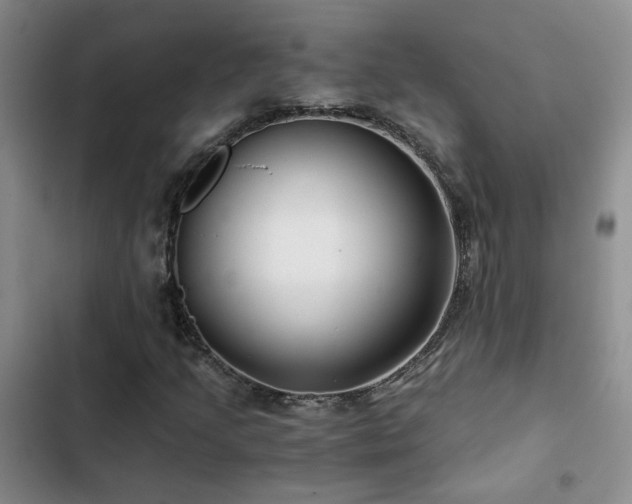 X0000103221205200808281359