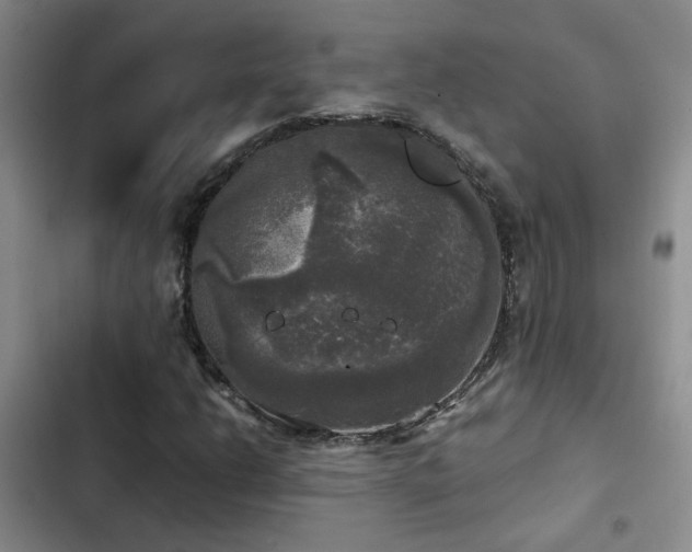 X0000103221206200808281359