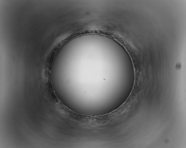 X0000103221207200808281359