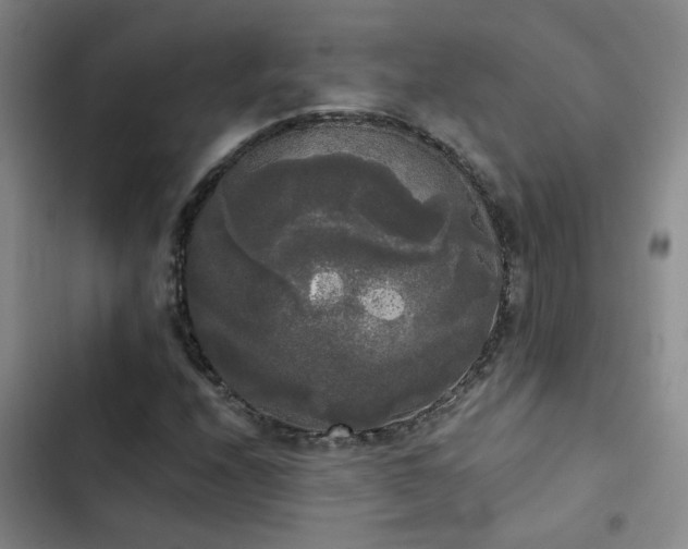 X0000103221208200808281359