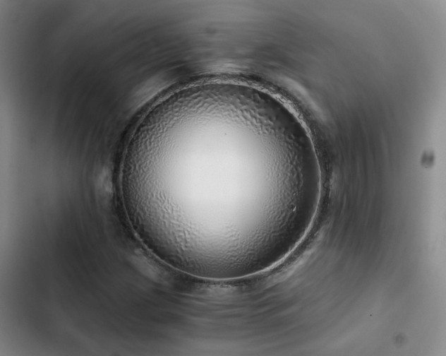 X0000103221209200808281359