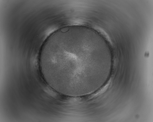 X0000103221210200808281359