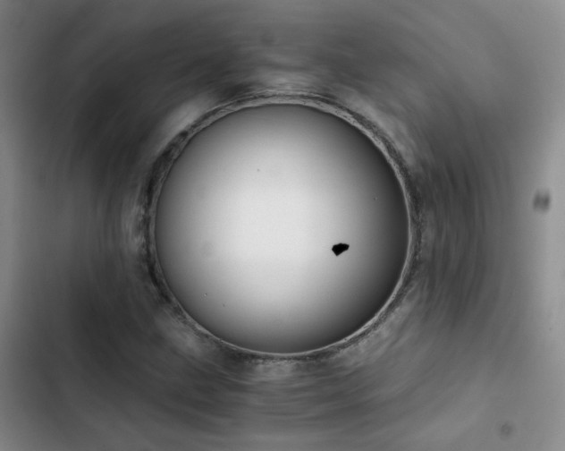 X0000103221211200808281359