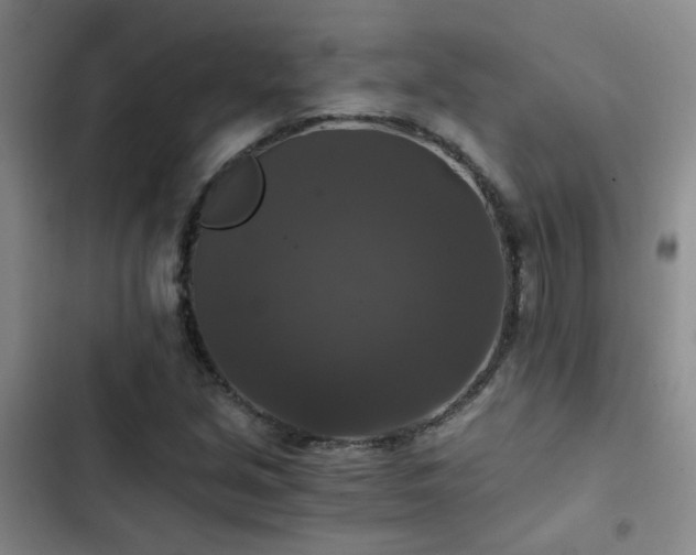 X0000103221213200808281359