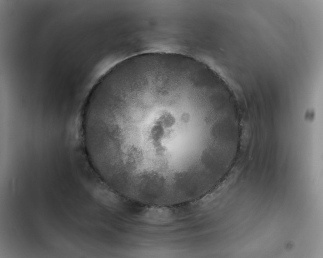 X0000103221215200808281359