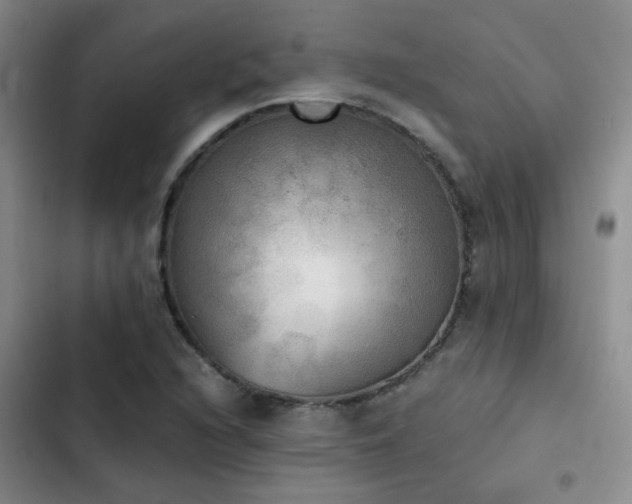 X0000103221216200808281359