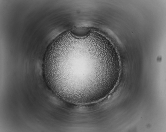 X0000103221217200808281359