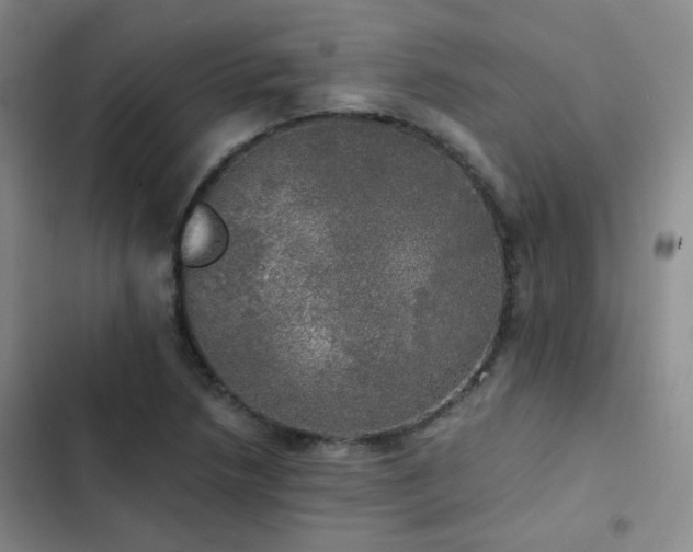 X0000103221218200808281359