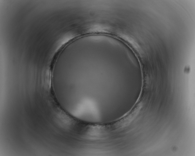 X0000103221219200808281359