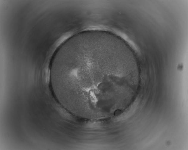 X0000103221221200808281359