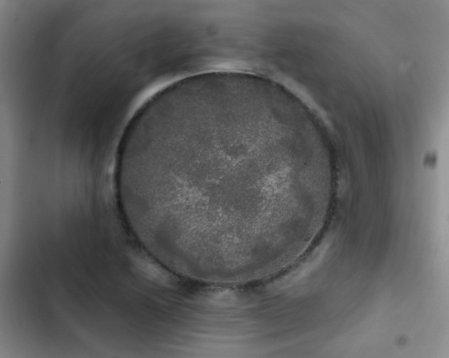 X0000103221222200808281359