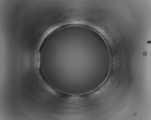 X0000103221223200808281359