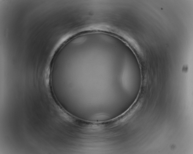 X0000103221224200808281359