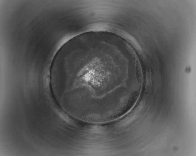X0000103221226200808281359