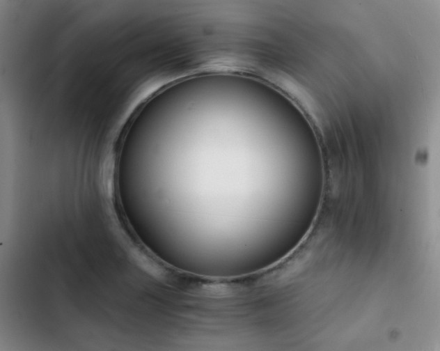 X0000103221227200808281359