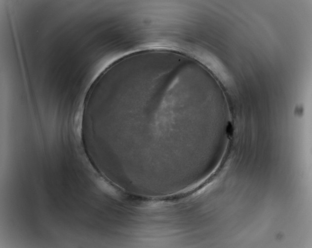 X0000103221228200808281359