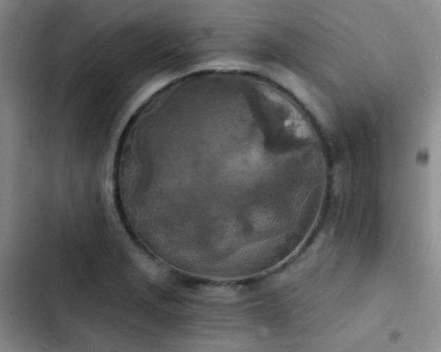 X0000103221229200808281359