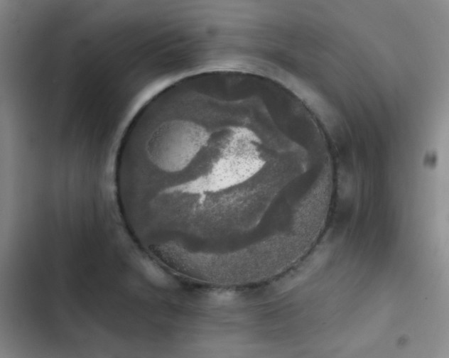 X0000103221230200808281359
