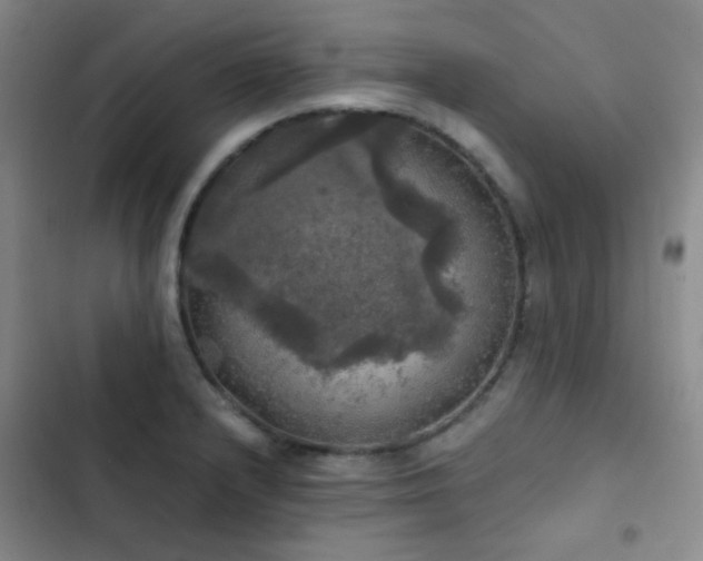 X0000103221232200808281359
