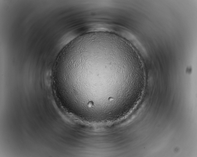 X0000103221233200808281359