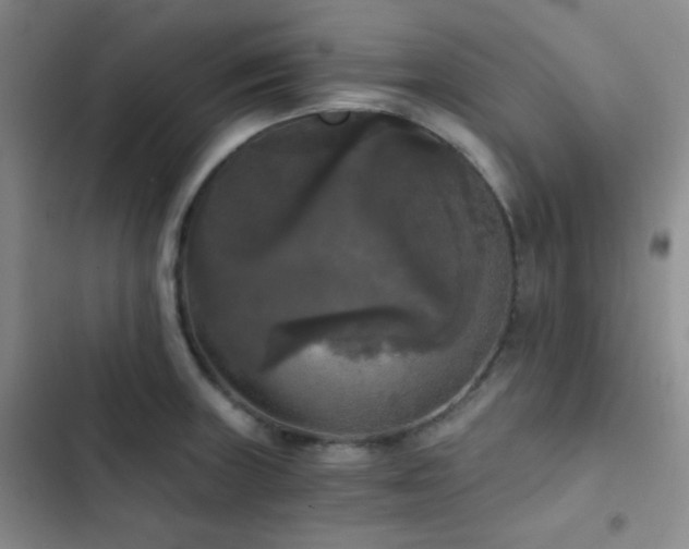 X0000103221235200808281359