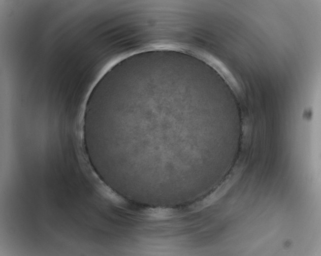 X0000103221236200808281359