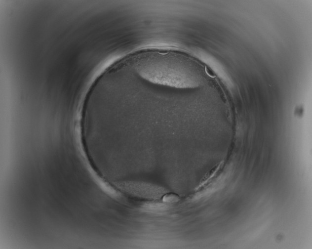 X0000103221237200808281359