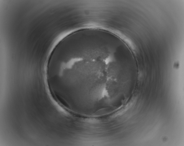 X0000103221239200808281359